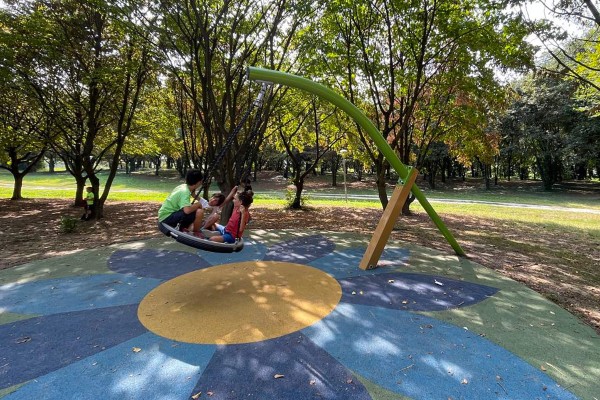 Pendulgynge J444® legepladser traditionelle redskaber gynger billede foto